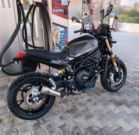 Benelli leoncino 800 - 2024