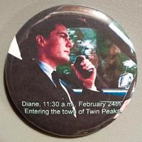SPILLA 24 FEBBRAIO TWIN PEAKS 