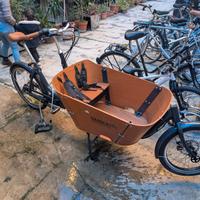 Babboe E City KM0 + Accessori 