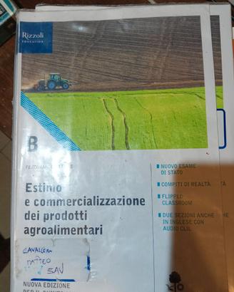 ESTIMO E COMMERCIALIZZAZIONE DEI PRODOTTI