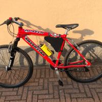 Mountain Bike Silver Star