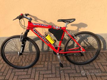 Mountain Bike Silver Star