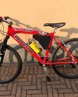 Mountain Bike Silver Star