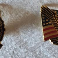 Lotto 2 Spille Americane - Guns N' Roses + America