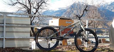 bike Extention Edith 24