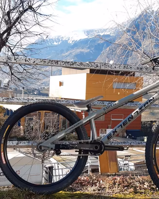 bike Extention Edith 24
