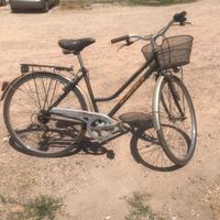 Bici olanda