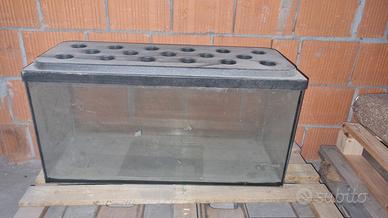 Acquario 120 l