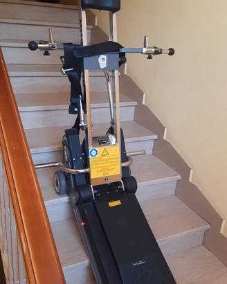 Saliscala cingolato a batteria per disabili