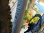 Immagine 4