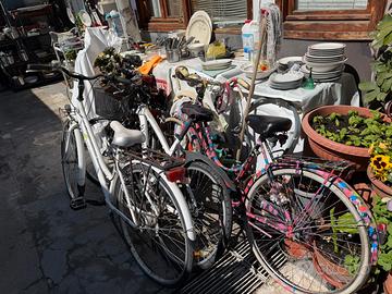 Bici da donna uomo pieghevole