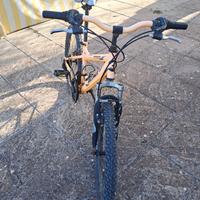 Bici Atala 