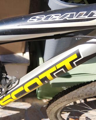 MTB  schott