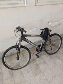 Bici MTB Schiano 26