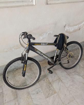 Bici MTB Schiano 26