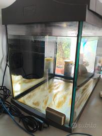 acquario