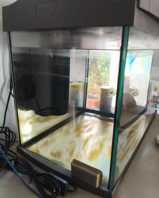 acquario