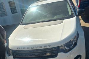 discovery 