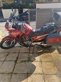 honda transalp 
