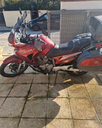 honda transalp 