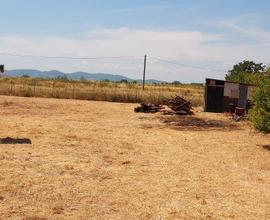 Terreno agricolo con fabbricato c/2