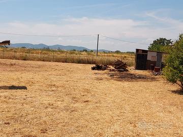 Terreno agricolo con fabbricato c/2