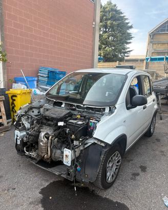 Fiat panda