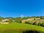 Immagine 16