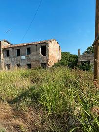 Terreni e rustico