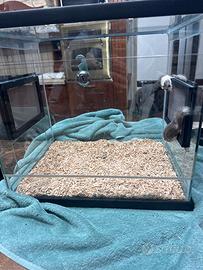 Minighiri mosaico e africano