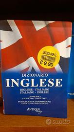 Coppia vocabolari inglese e francese