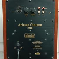 indiana line arbour cinema 