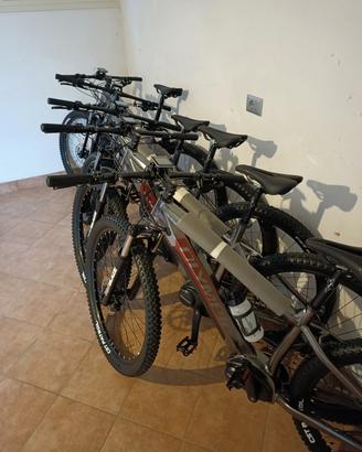 E-BIKE Olympia 630w
