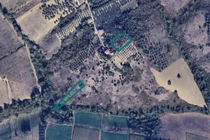 Immobile in asta di 2980 m² a Moscufo