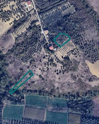 Immobile in asta di 2980 m² a Moscufo