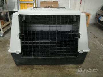 trasportino cane