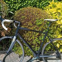 bicicletta Scott Innovation  XL con rullo indoor