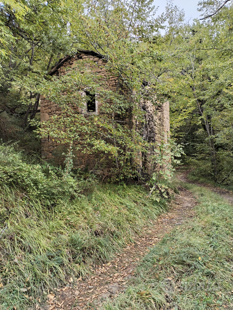 Terreno con antico metato - Vista 2