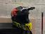 Immagine 1
