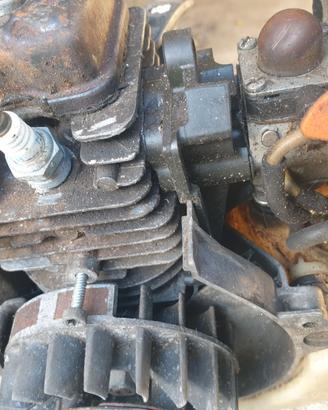 Decespugliatore  stihl  ht  101