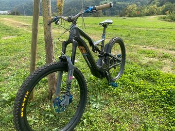 Specialized Turbo Levo  carbonio