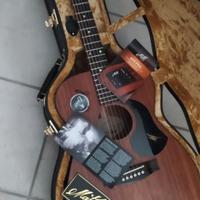 Chitarra acustica Maton EBW808