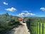 Immagine 14