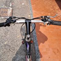 Bicicletta Mountain Bike (cerchioni da '26)