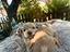 Immagine 6