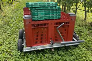 Carrello manuale per raccolta frutta