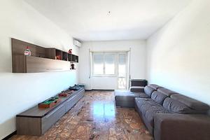 3 LOCALI A FALERIA