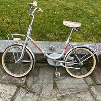 Grazziella ondina OLMO