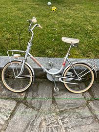 Grazziella ondina OLMO