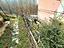 Immagine 22